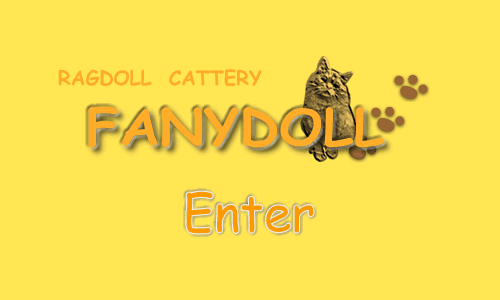 ���O�h�[���@�L���b�e���[�@�t�@�j�[�h�[��